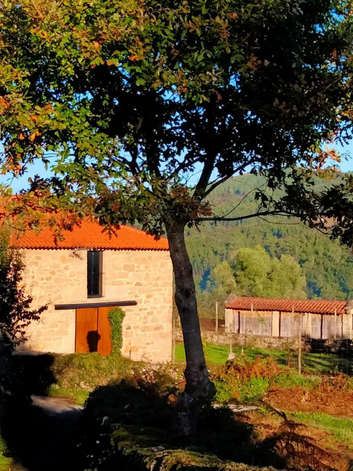 Casa De Piedra En Naturaleza Ideal Para Relajarse, Aventura O Trabajar Pontevedra Exterior foto